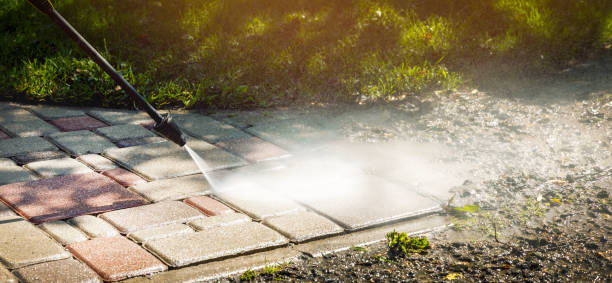 Best Sidewalk and Walkway Cleaning  in Willow Oak, FL